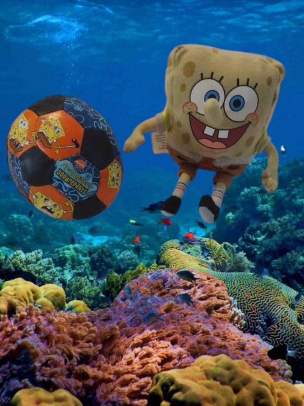 Nickelodeon SpongeBob Plush with Cardboard Book/Backpack and Soccer Ball Bundle